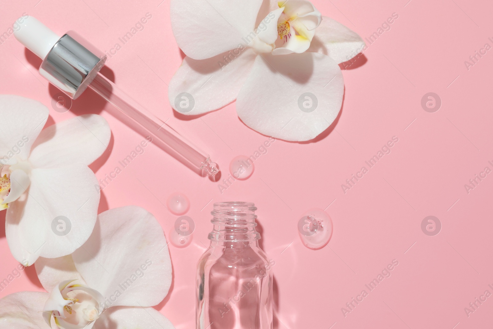 Photo of Beautiful orchid flowers and essential oil in water on pink background, flat lay. Space for text