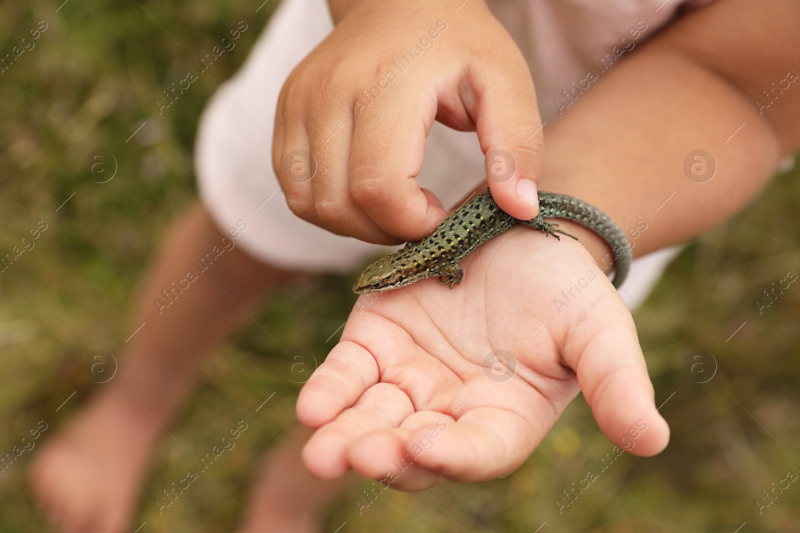 Photo of Little girl holding lizard on blurred background, closeup. Child enjoying beautiful nature