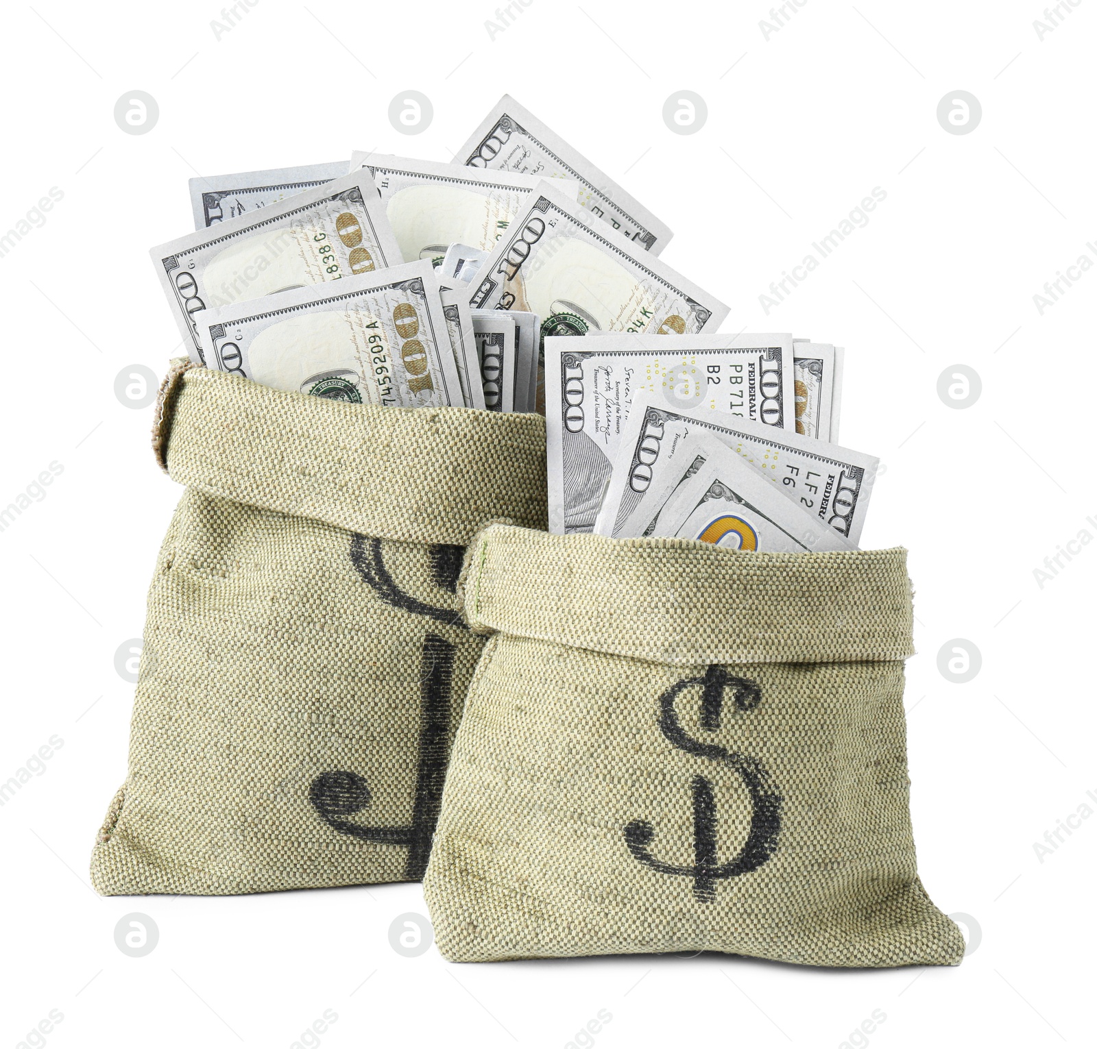 Photo of Dollar banknotes in bags isolated on white