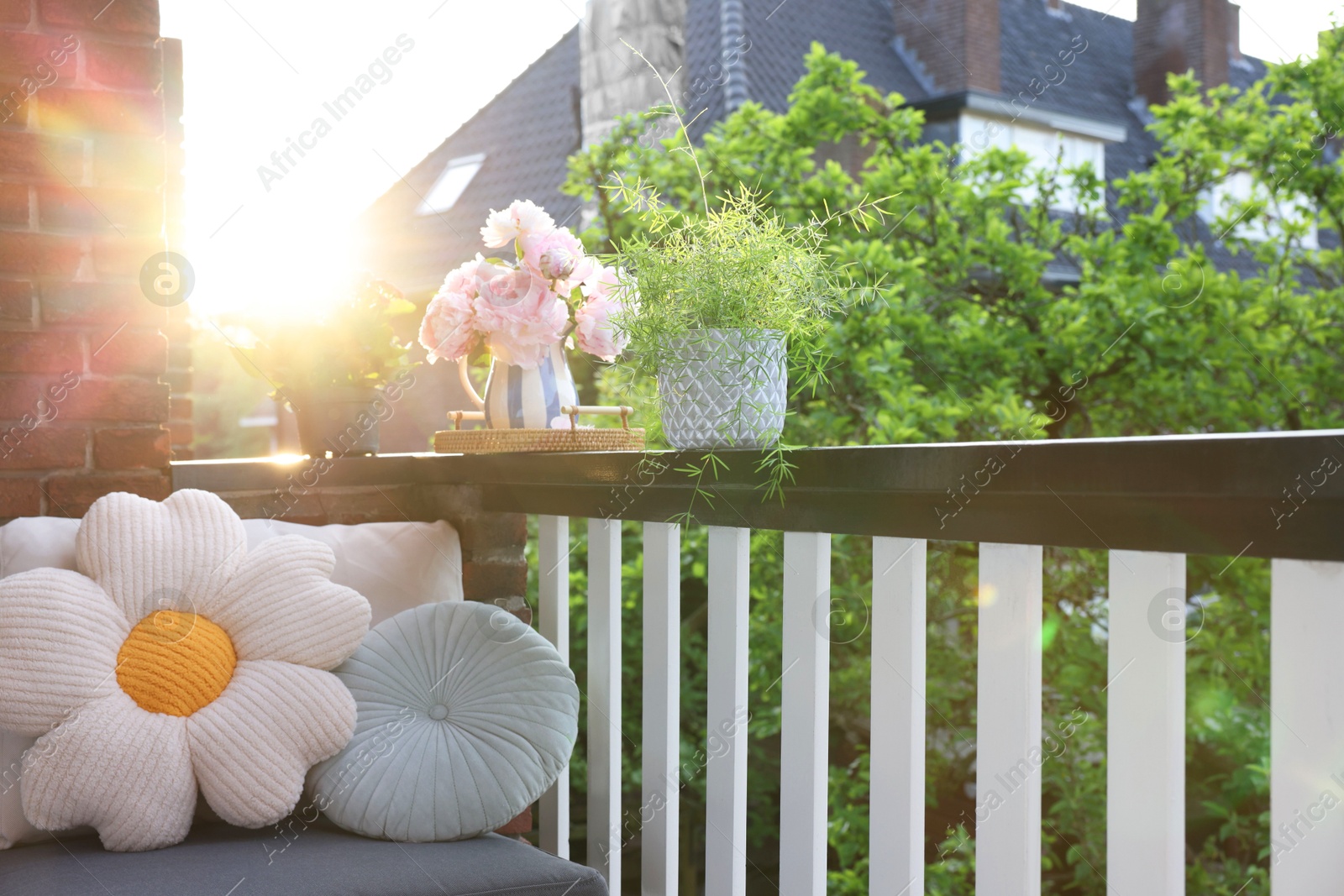 Photo of Different plants on railings and chair at cozy balcony outdoors