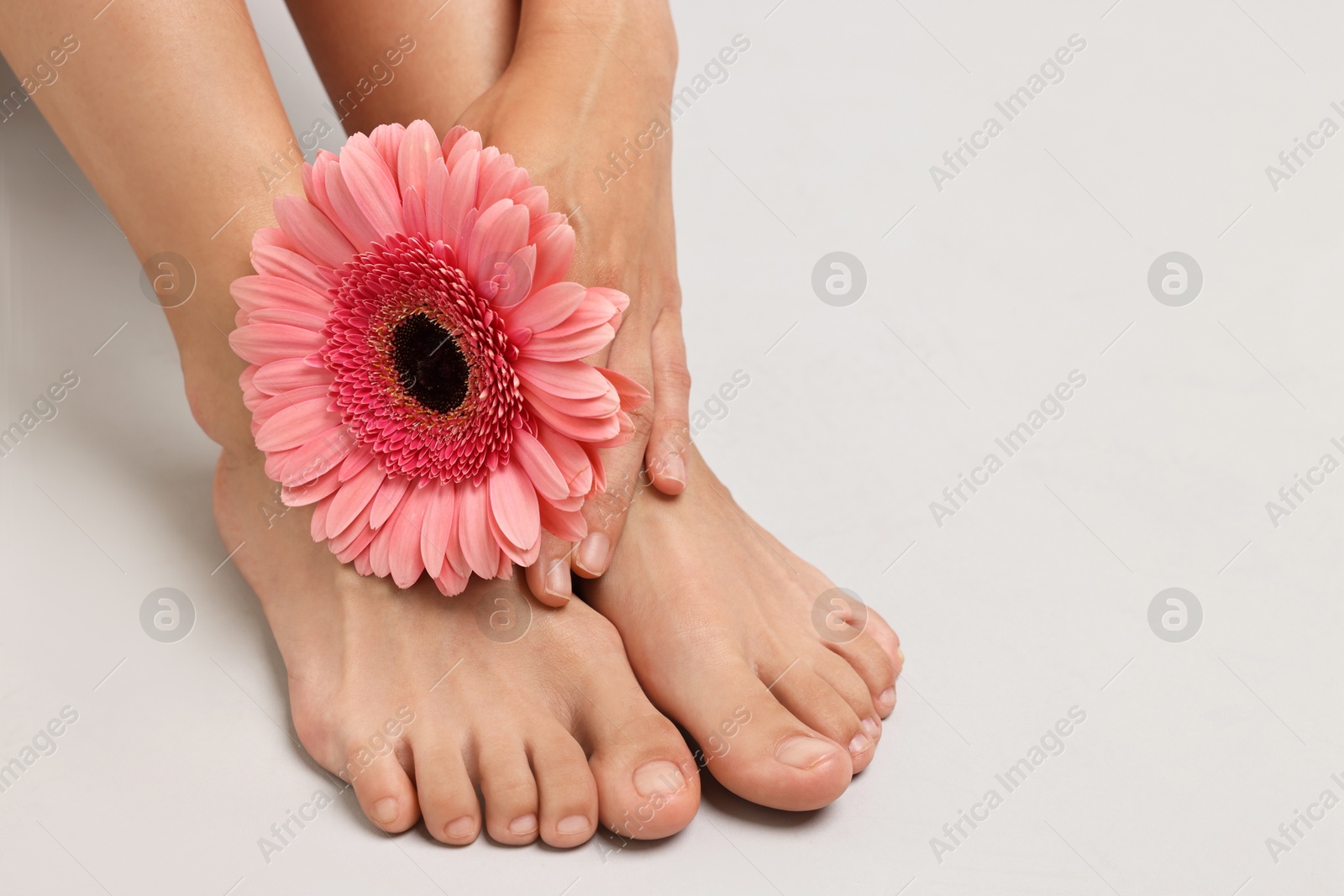 Photo of Woman with smooth feet and flower on grey background, closeup. Space for text