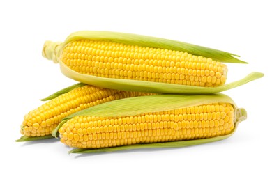 Photo of Corncobs with green husks isolated on white