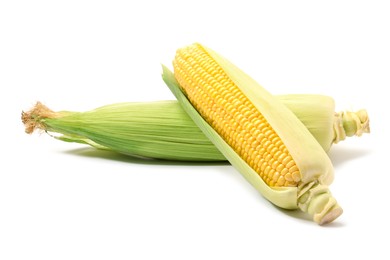 Corncobs with green husks isolated on white