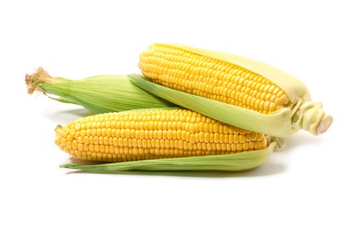 Photo of Corncobs with green husks isolated on white