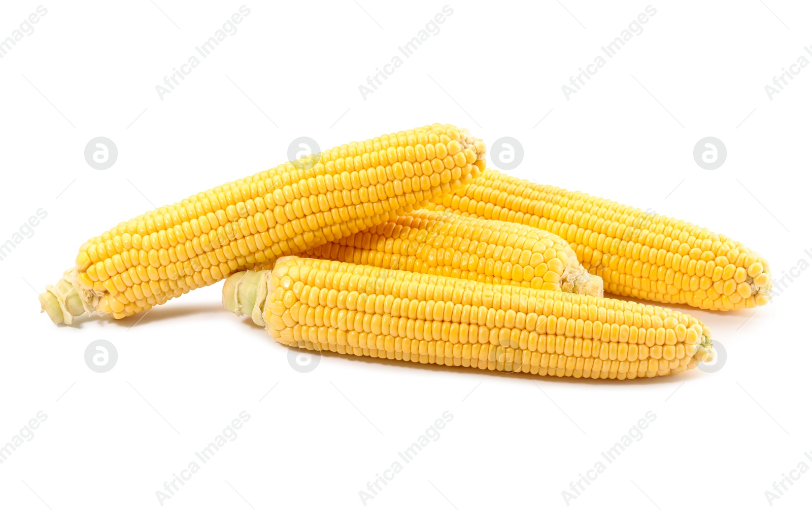 Photo of Many fresh ripe corncobs isolated on white