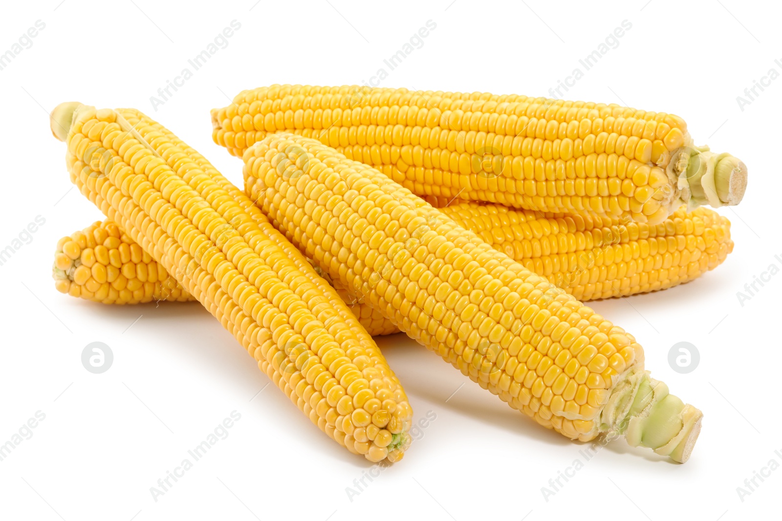 Photo of Many fresh ripe corncobs isolated on white