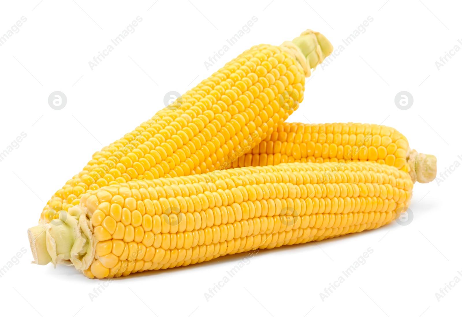 Photo of Many fresh ripe corncobs isolated on white