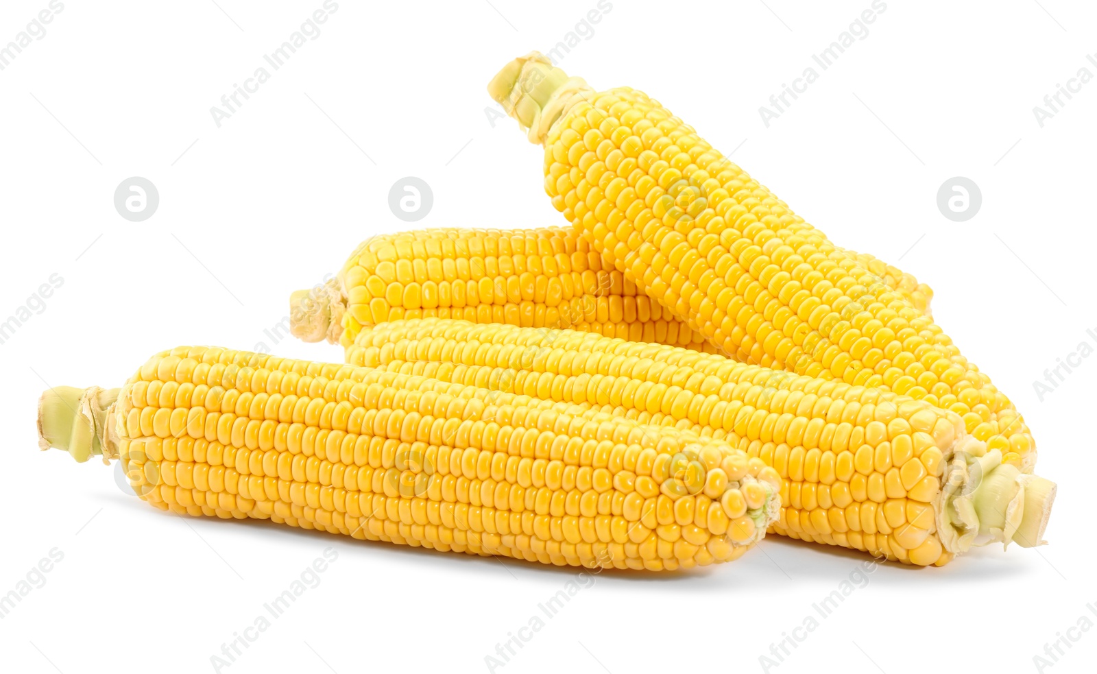 Photo of Many fresh ripe corncobs isolated on white