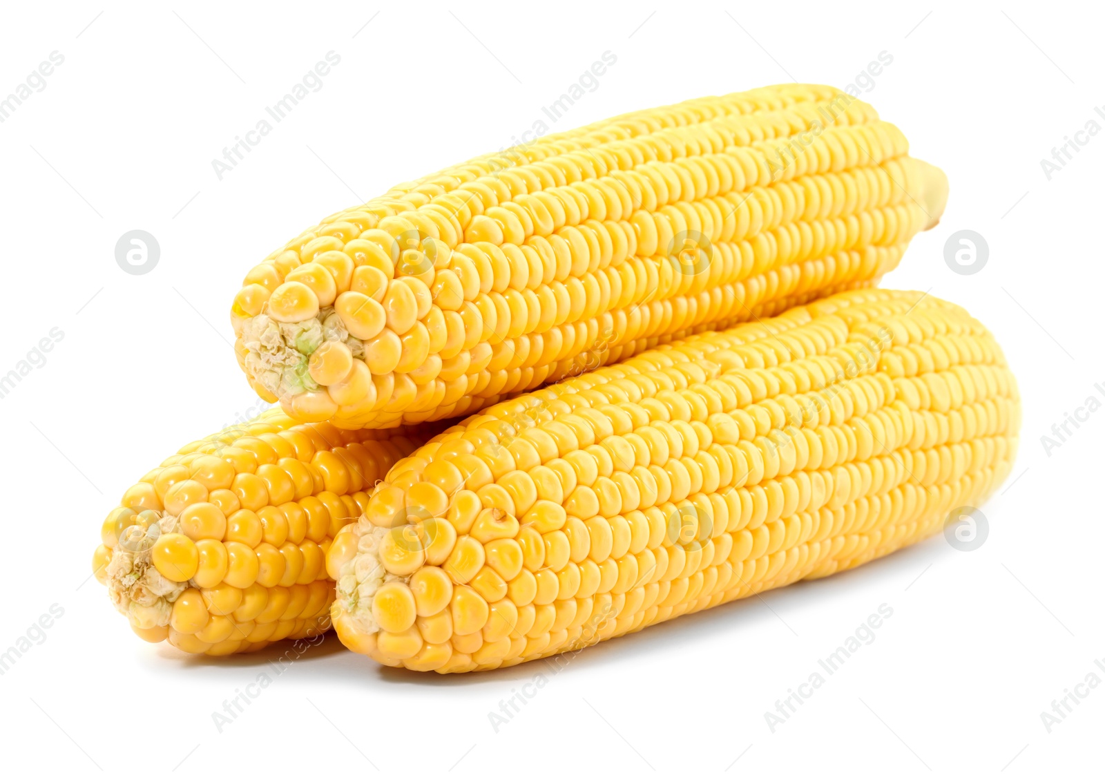 Photo of Three fresh ripe corncobs isolated on white