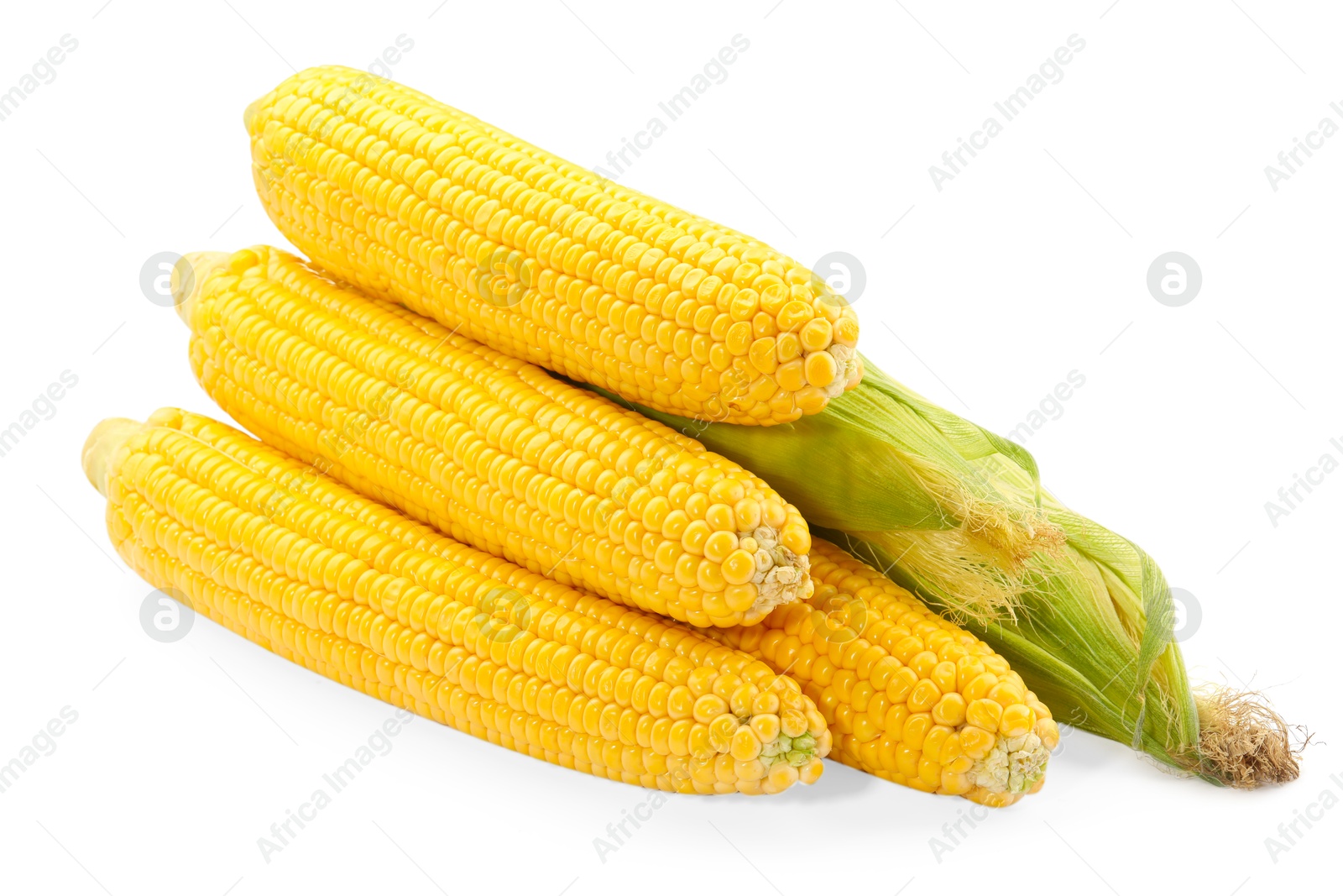 Photo of Many fresh ripe corncobs isolated on white