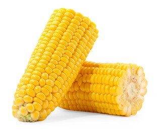 Pieces of fresh corncob isolated on white