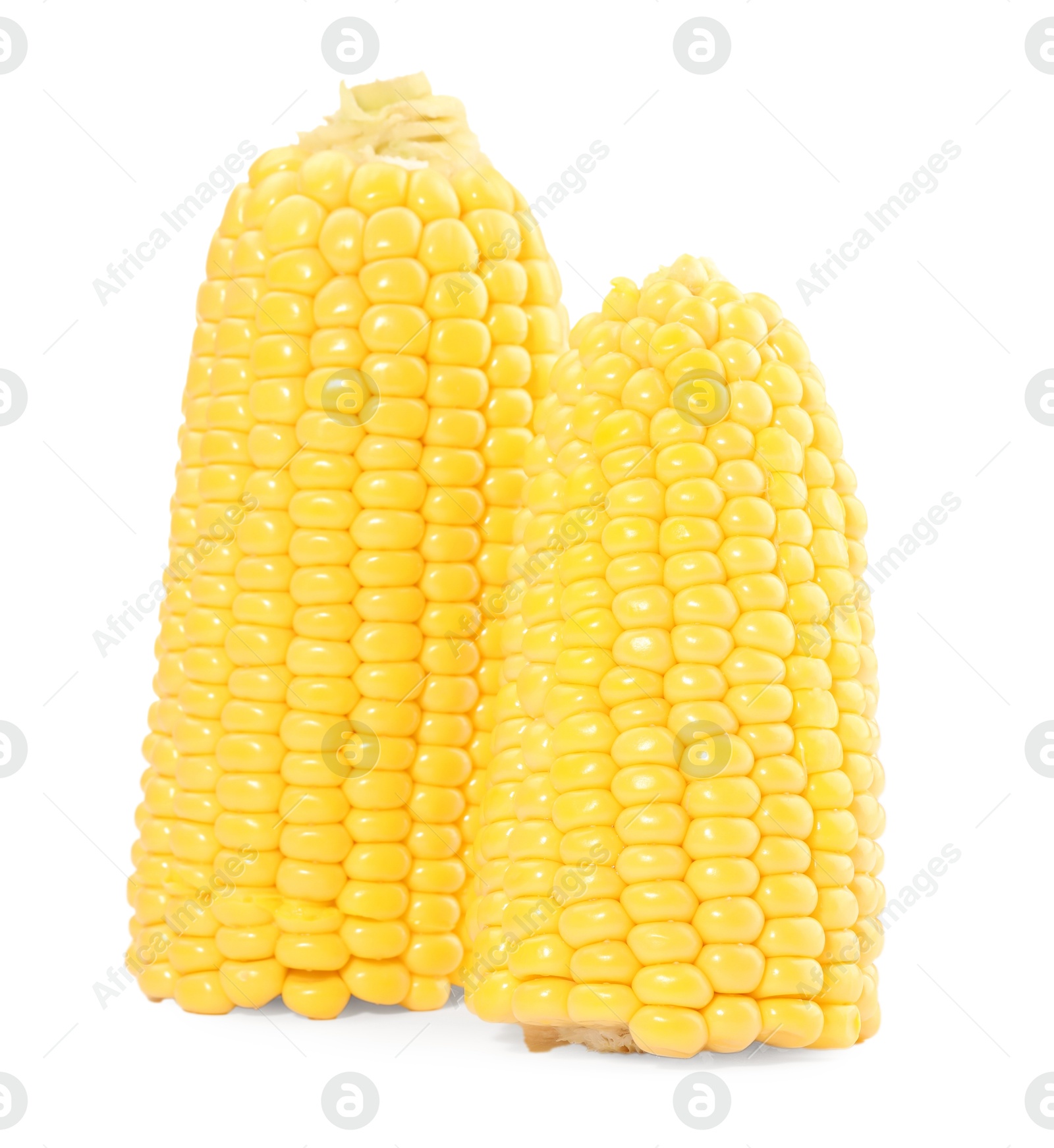 Photo of Halves of fresh corncob isolated on white