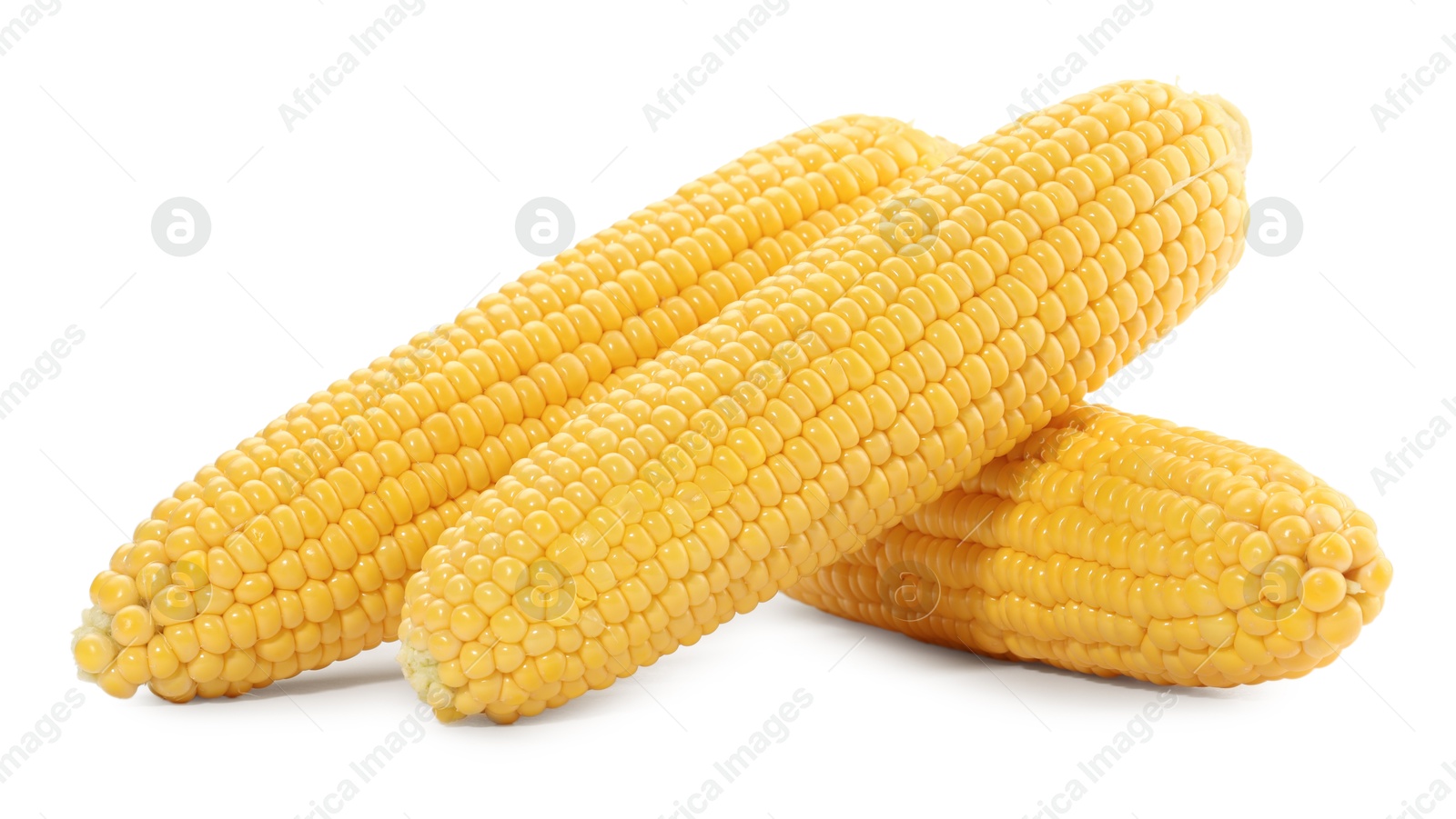 Photo of Many fresh ripe corncobs isolated on white