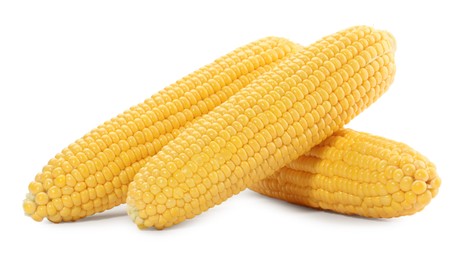 Photo of Many fresh ripe corncobs isolated on white