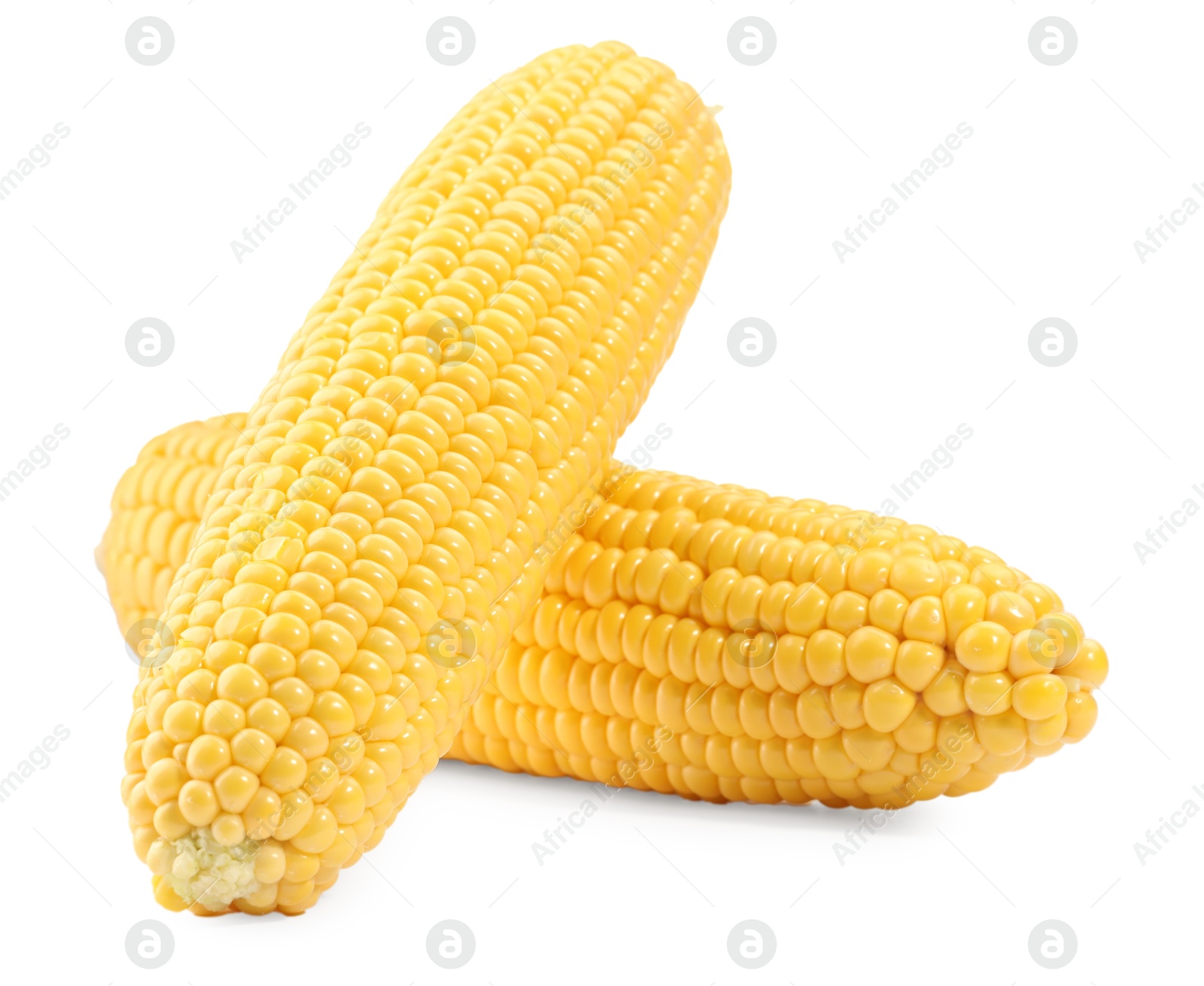 Photo of Two fresh ripe corncobs isolated on white