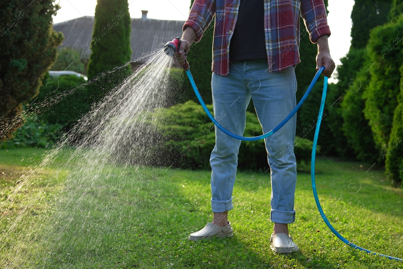 Photo of Man watering green grass on lawn in backyard, closeup