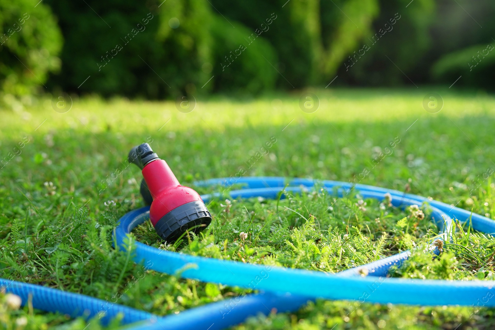 Photo of Light blue hose on lawn in backyard, closeup