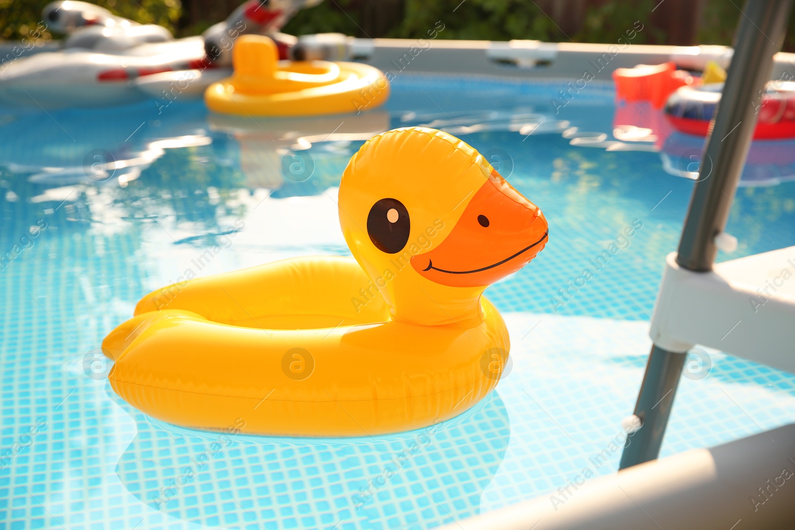 Photo of Inflatable duck shaped ring on water in above ground swimming pool outdoors