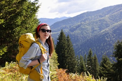 Young hiker with backpack in mountains on sunny day