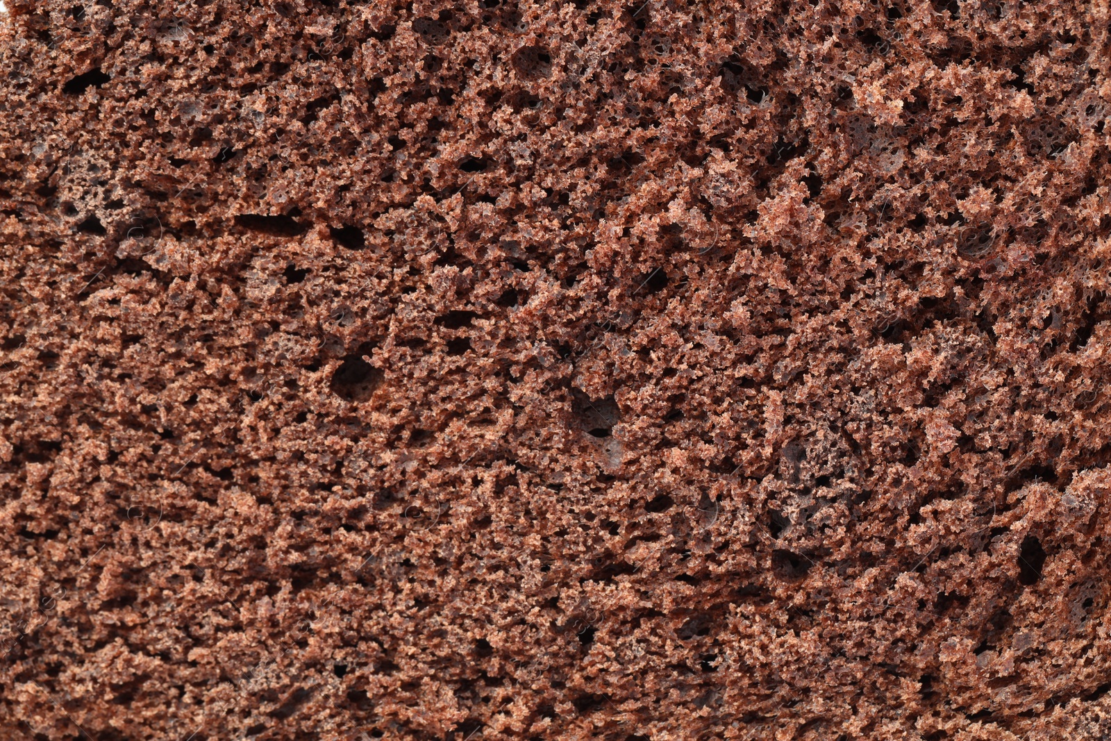 Photo of Tasty chocolate sponge cake as background, closeup