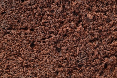 Photo of Tasty chocolate sponge cake as background, closeup