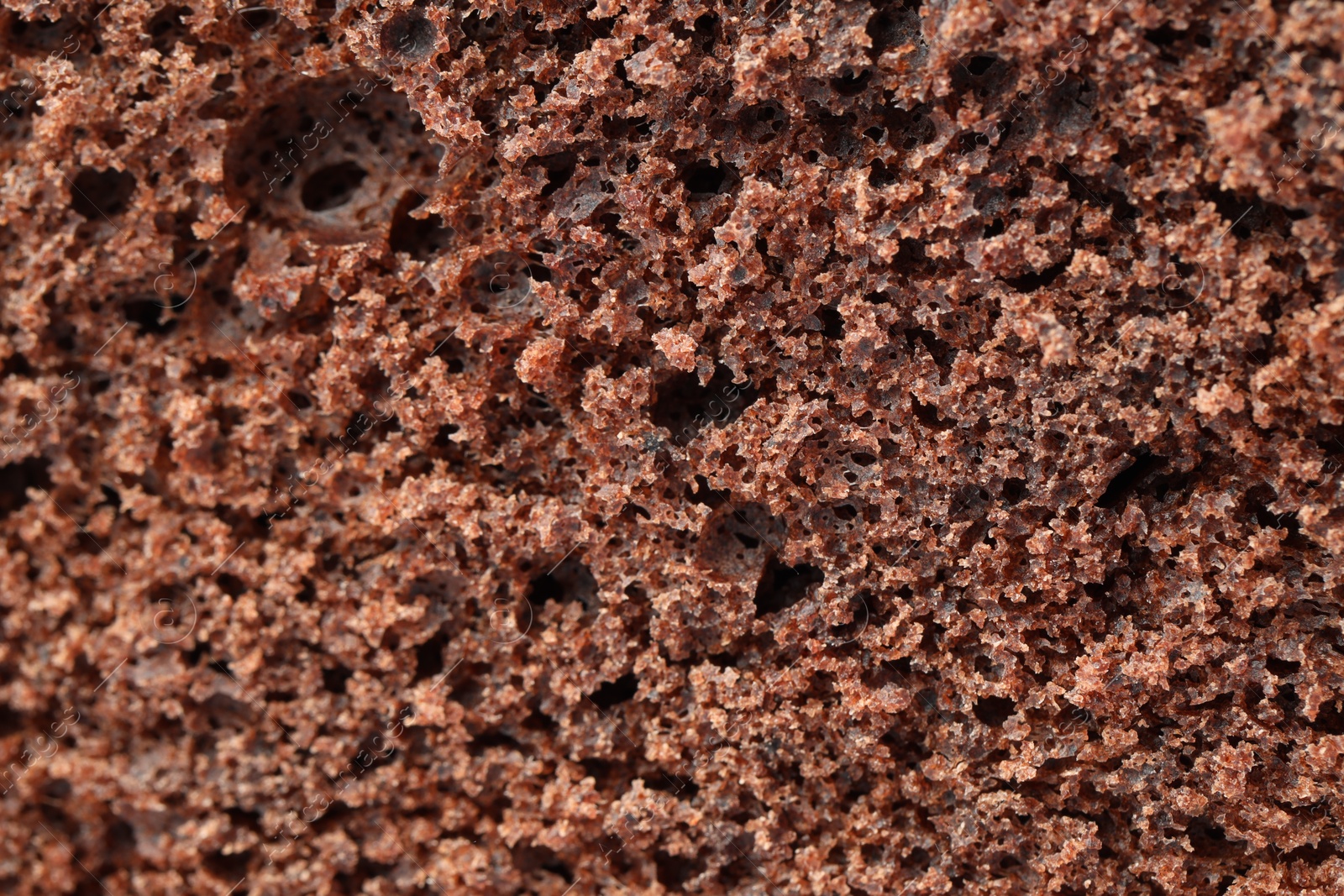 Photo of Tasty chocolate sponge cake as background, closeup