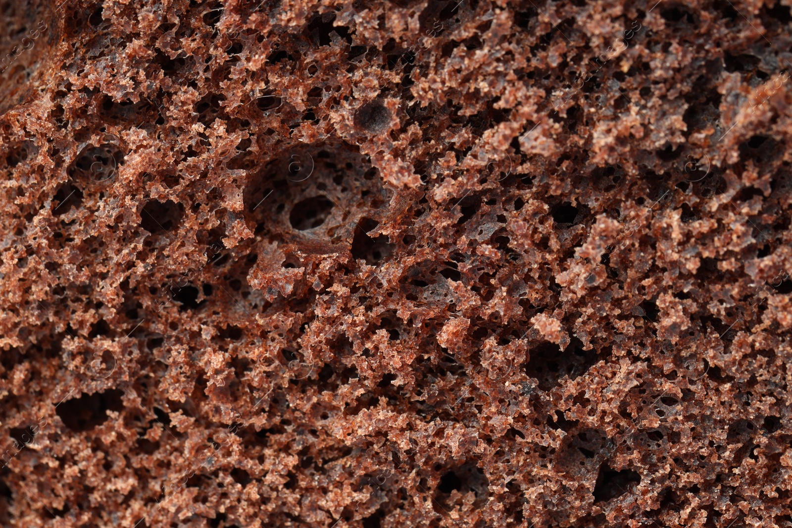 Photo of Tasty chocolate sponge cake as background, closeup