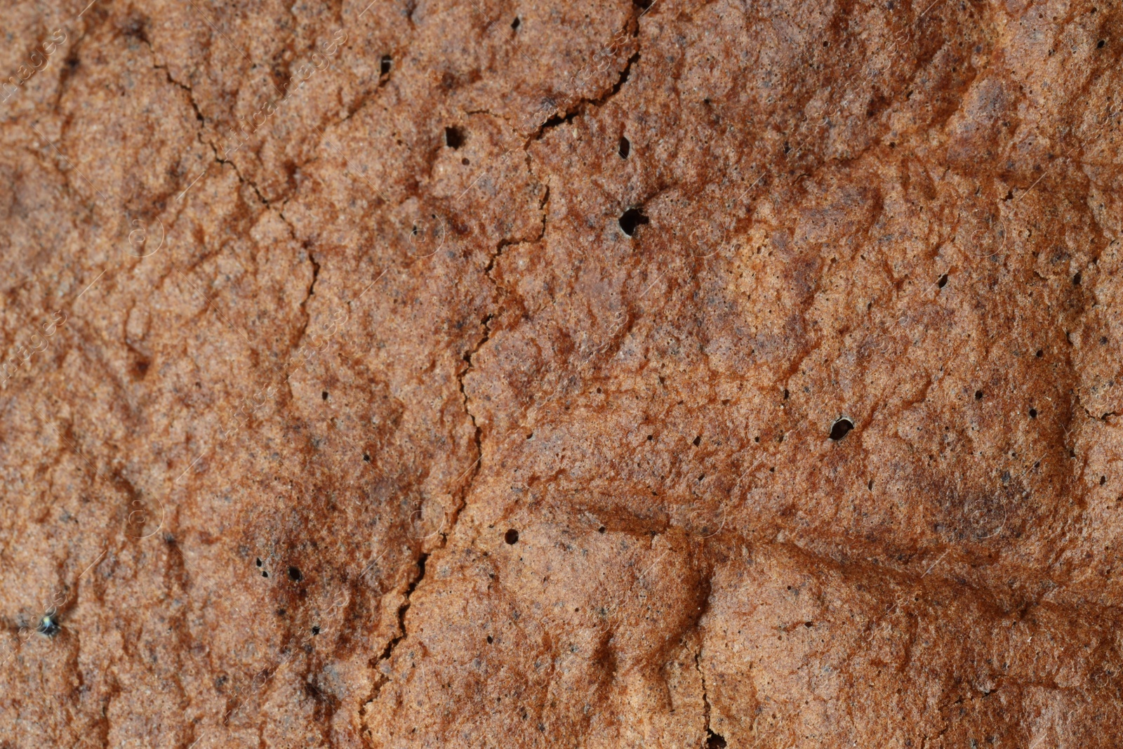 Photo of Tasty chocolate sponge cake as background, closeup