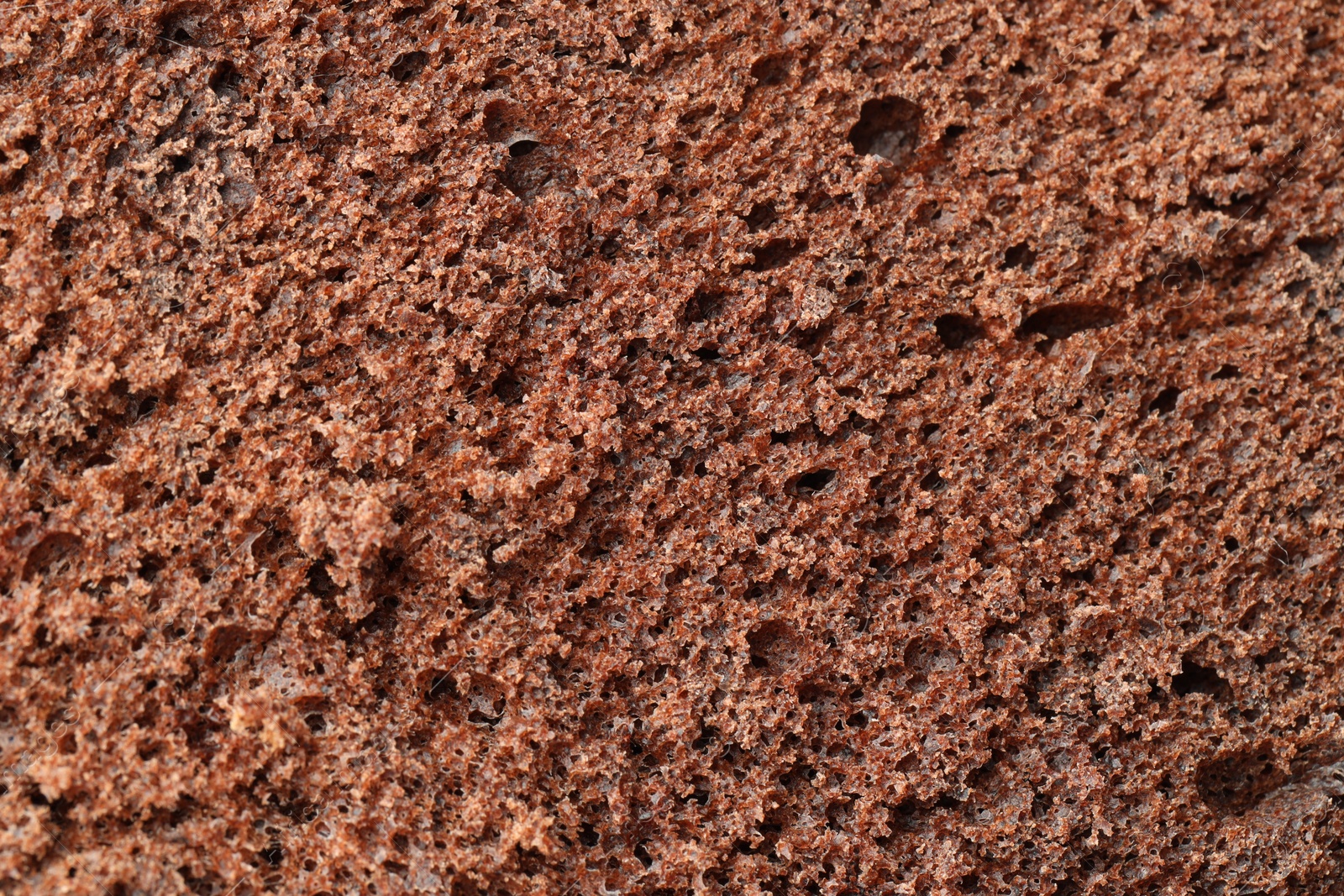 Photo of Tasty chocolate sponge cake as background, closeup