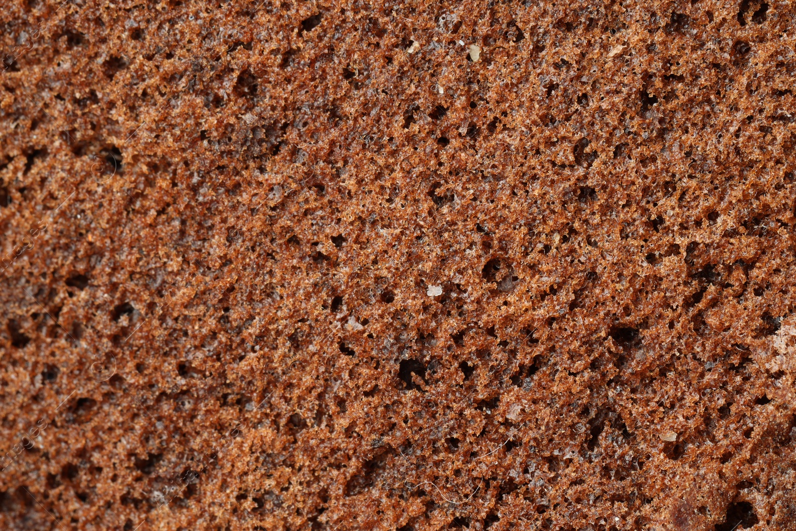 Photo of Tasty chocolate sponge cake as background, closeup