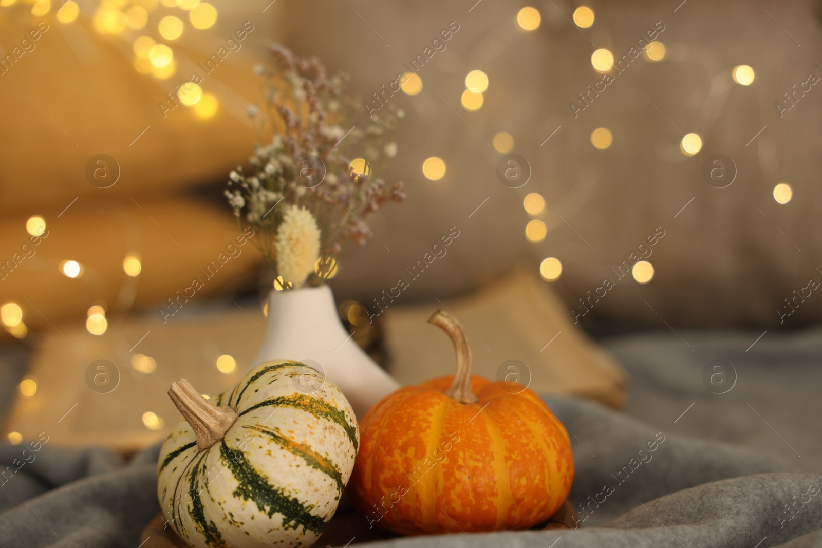 Photo of Pumpkins on grey cloth against blurred lights, closeup. Autumn atmosphere