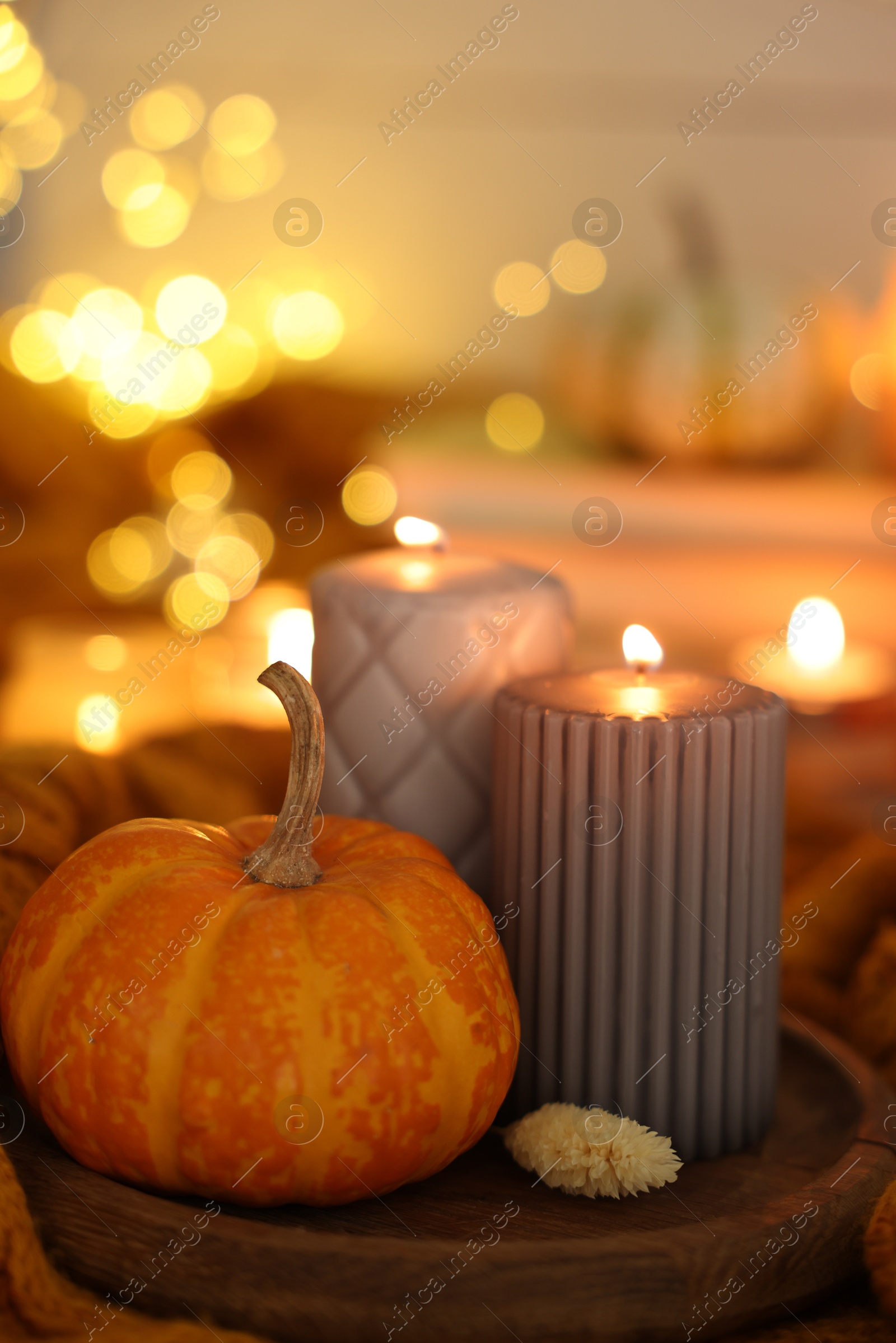 Photo of Burning candles and pumpkin on soft sweater indoors, closeup. Autumn atmosphere