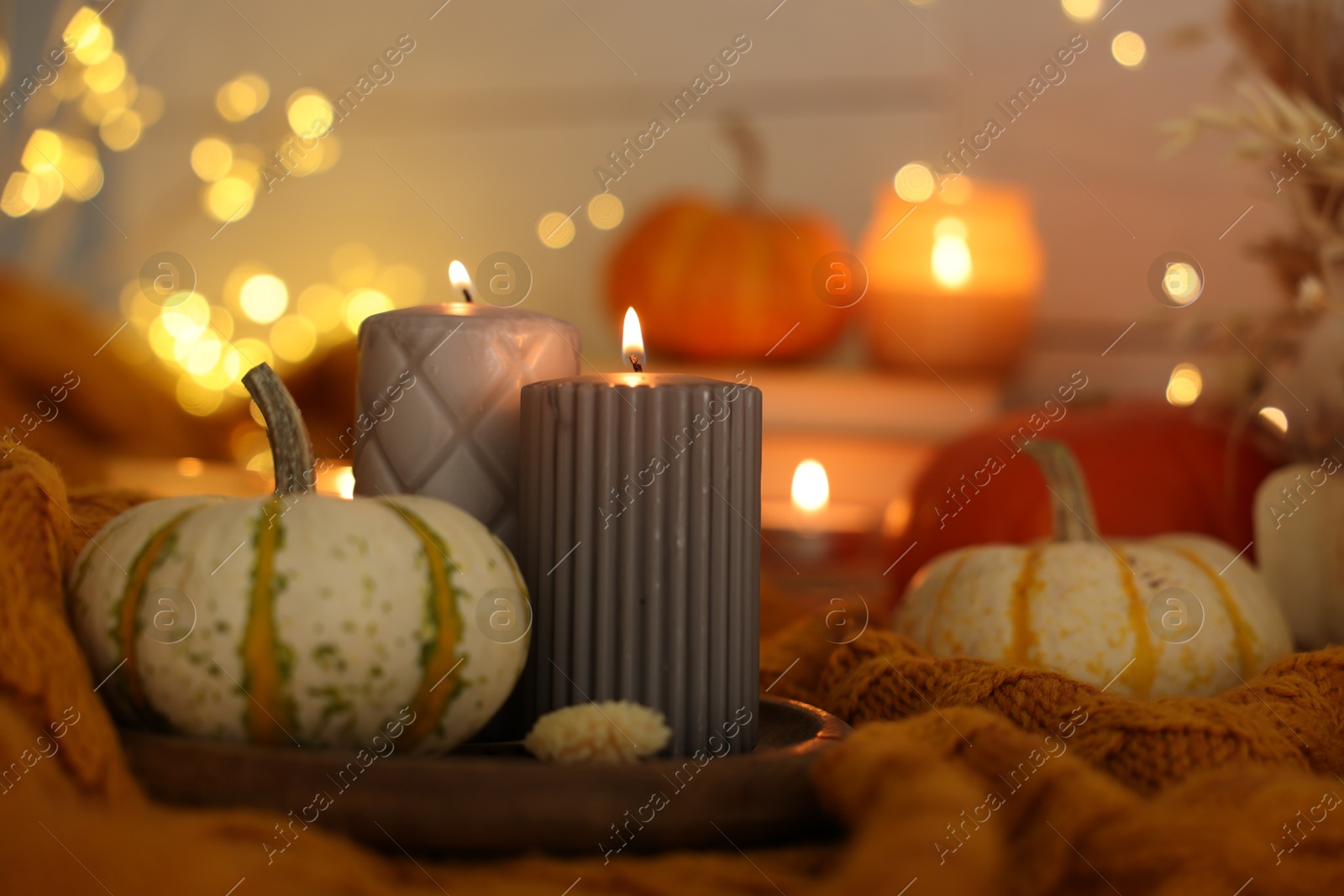 Photo of Burning candles and pumpkins on soft sweater indoors, closeup. Autumn atmosphere