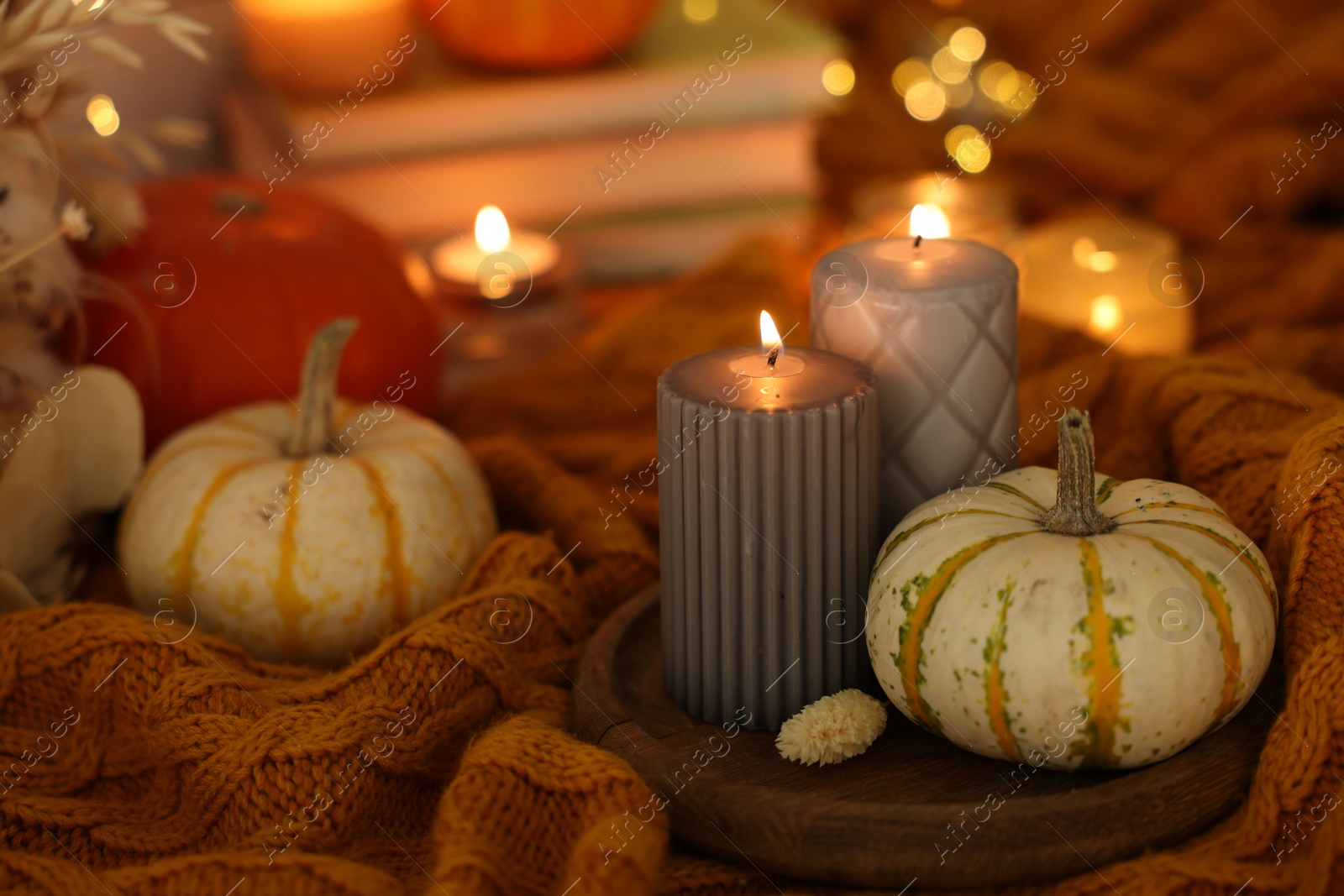 Photo of Burning candles and pumpkins on soft sweater indoors, closeup. Autumn atmosphere