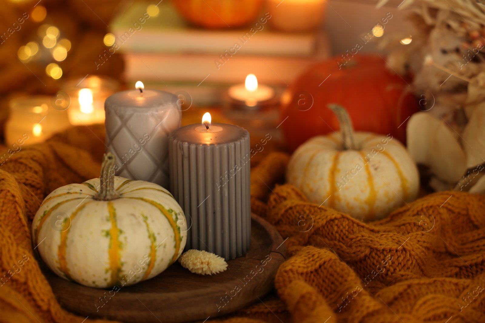 Photo of Burning candles and pumpkins on soft sweater indoors, closeup. Autumn atmosphere