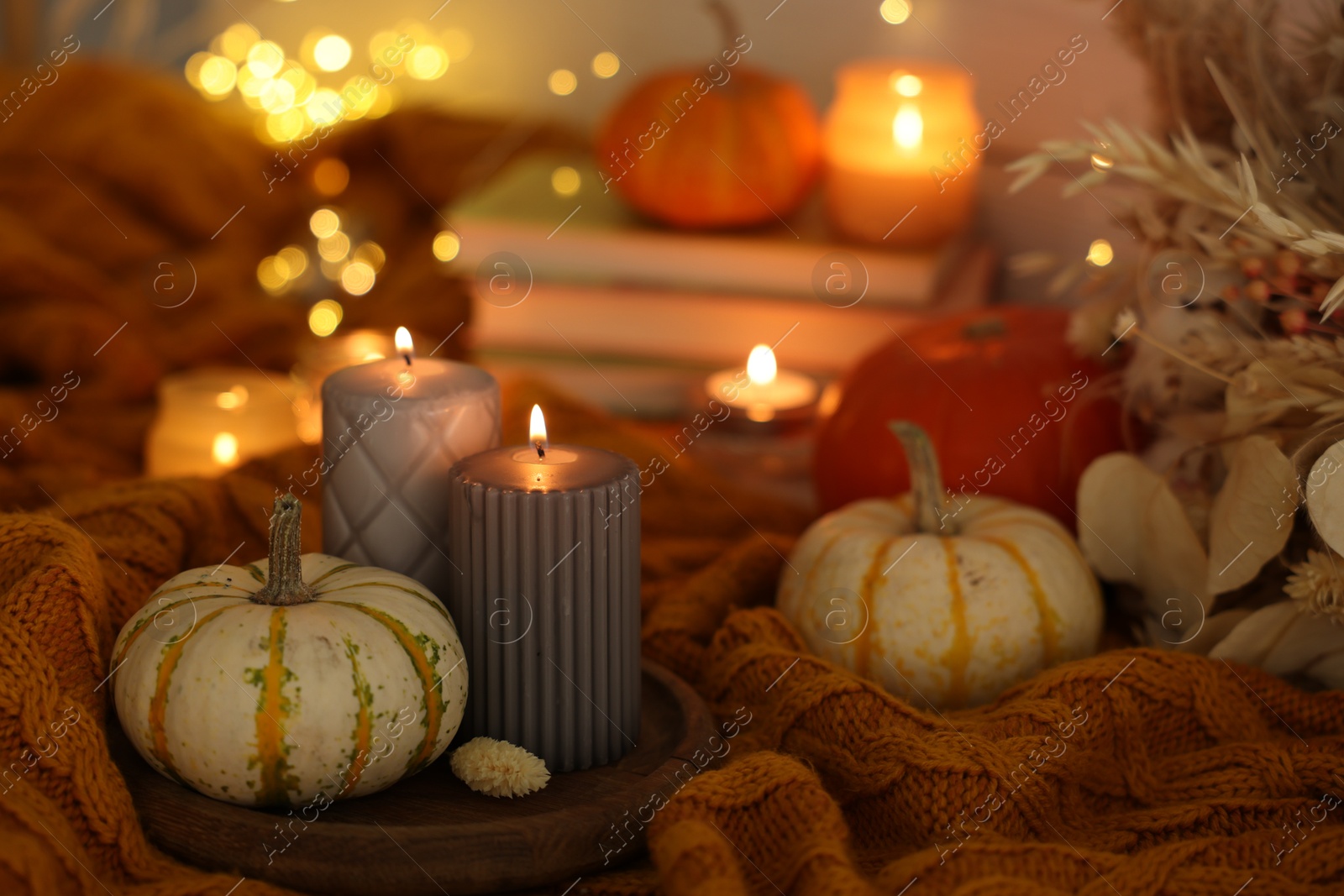 Photo of Burning candles and pumpkins on soft sweater indoors, closeup. Autumn atmosphere