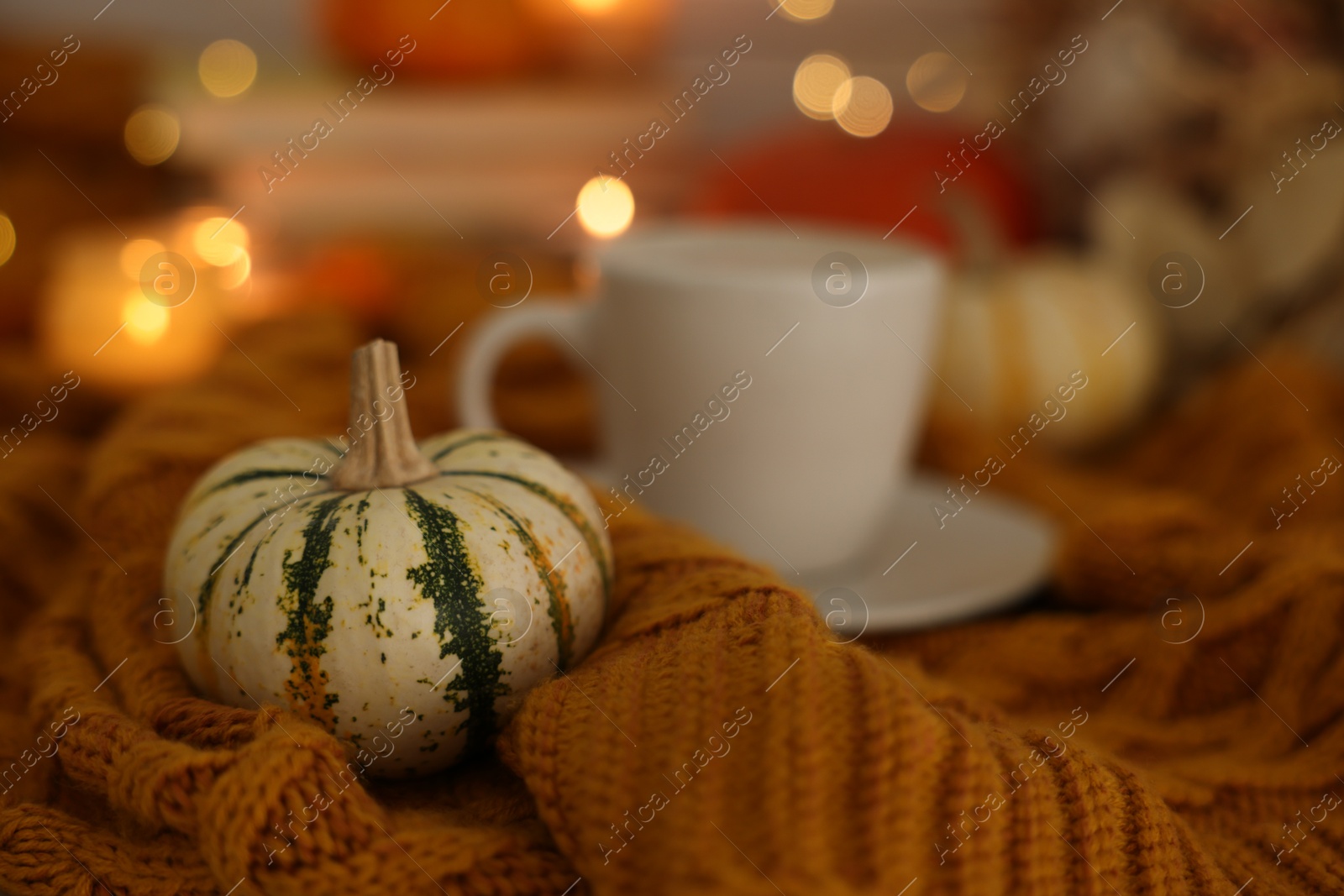 Photo of Pumpkin on soft sweater indoors, closeup. Autumn atmosphere