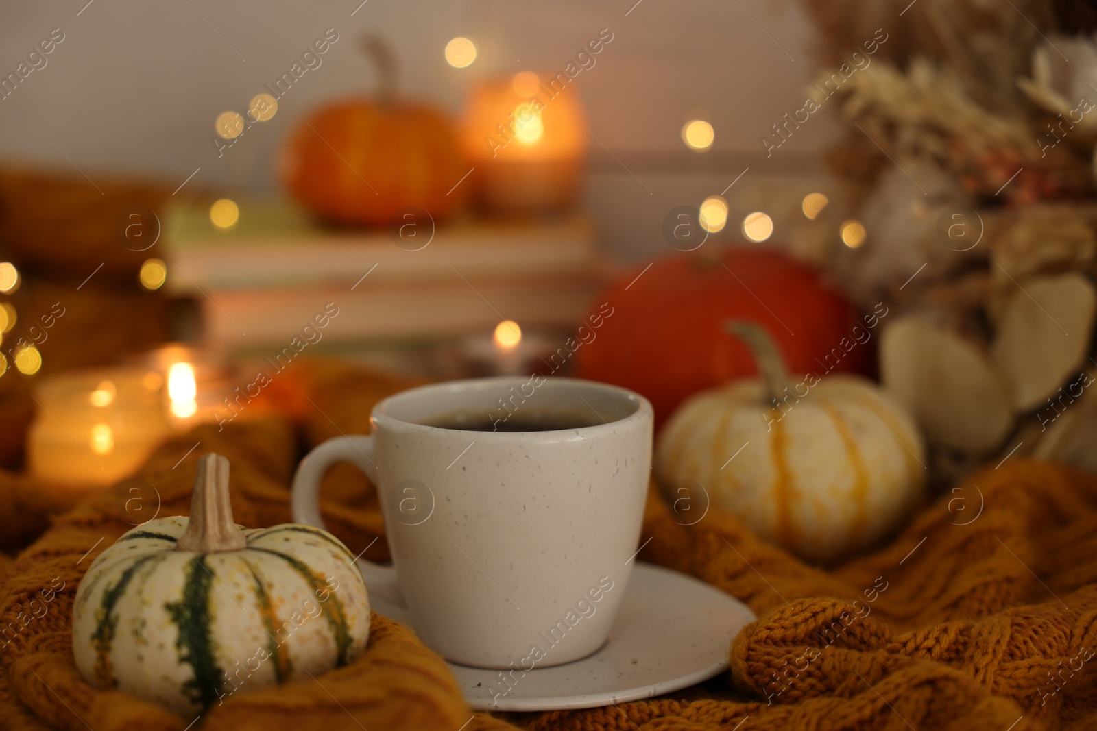 Photo of Cup of coffee and pumpkins on soft sweater, closeup. Autumn atmosphere