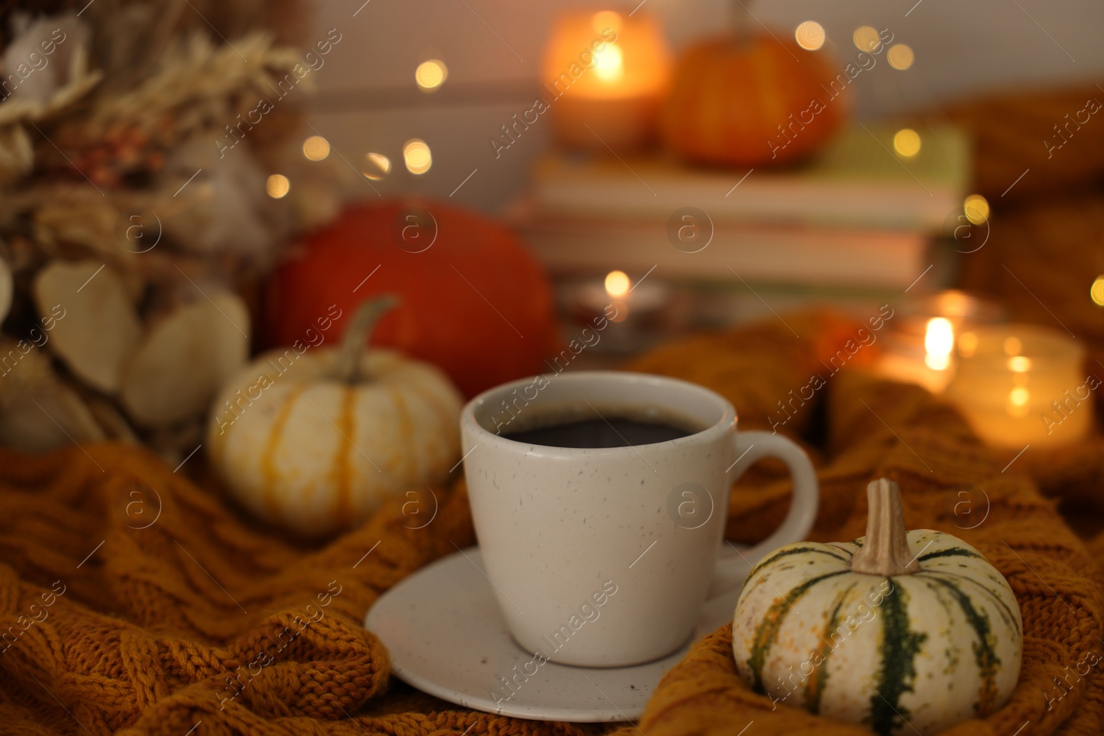 Photo of Cup of coffee and pumpkins on soft sweater, closeup. Autumn atmosphere