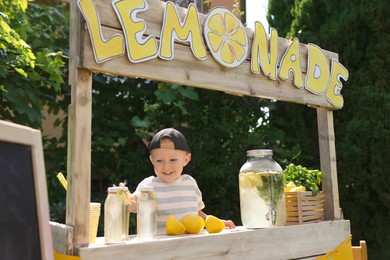 Cute little boy with refreshing drink at lemonade stand in park