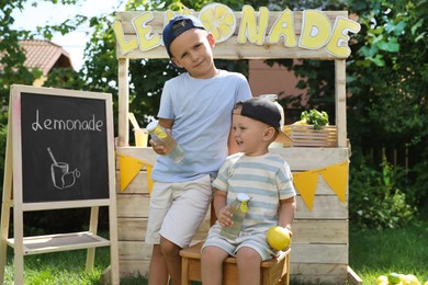 Photo of Cute boys with refreshing drinks near lemonade stand in park