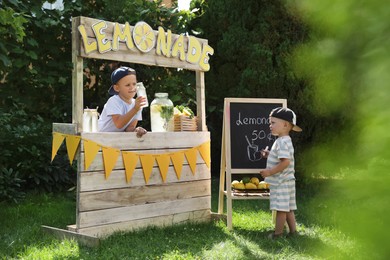 Photo of Cute little boys selling natural lemonade at stand in park