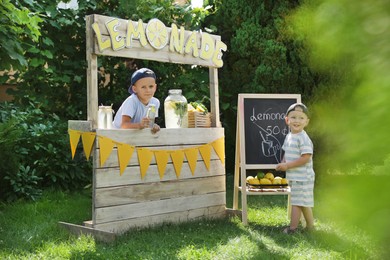 Cute little boys selling natural lemonade at stand in park