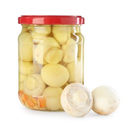 Photo of Tasty pickled mushrooms in jar and fresh ingredients isolated on white