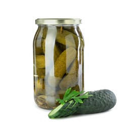 Photo of Tasty pickled cucumbers in jar, fresh vegetable and parsley isolated on white