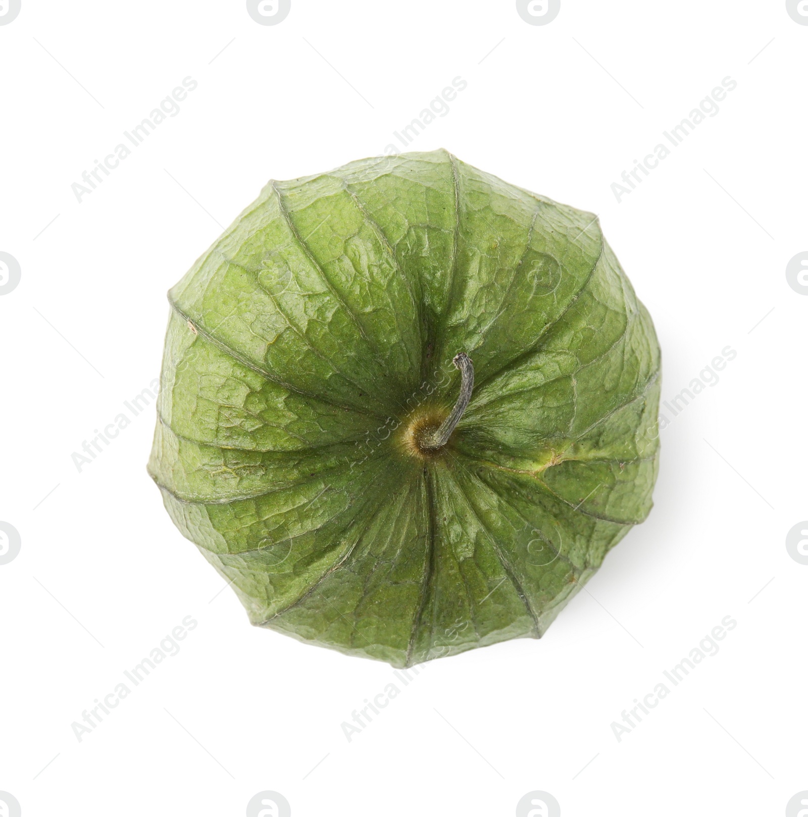 Photo of Fresh green tomatillo with husk isolated on white, top view