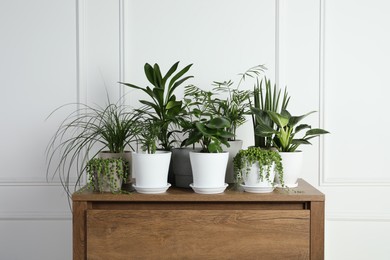 Photo of Many beautiful green potted houseplants on wooden table indoors