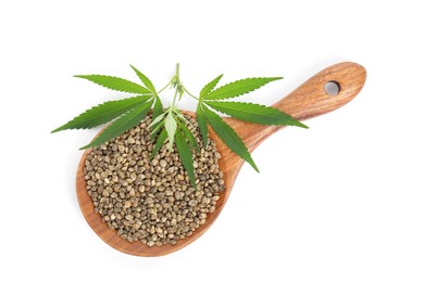 Wooden spoon with hemp seeds and leaves on white background, top view