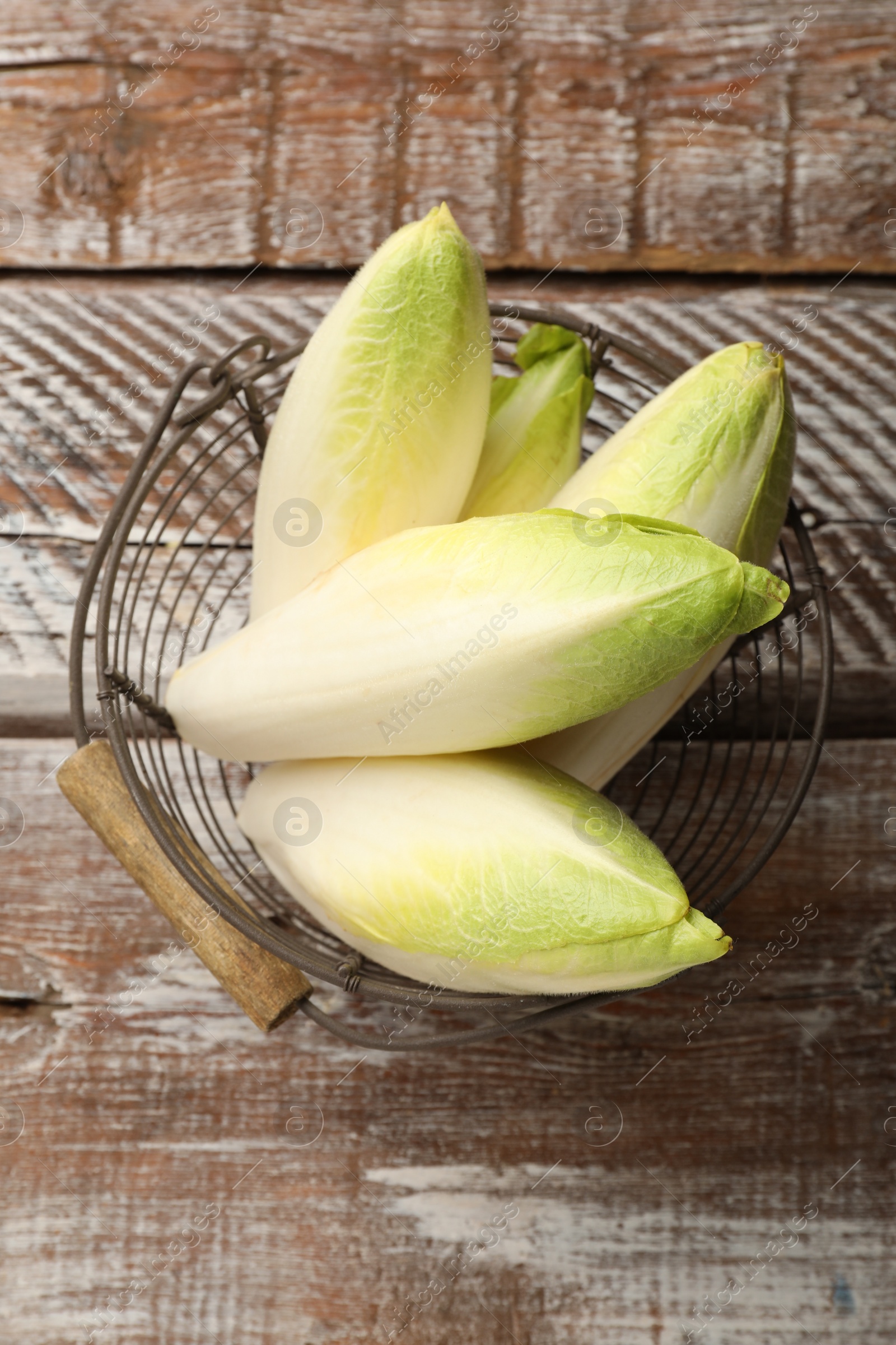 Photo of Fresh raw Belgian endives (chicory) in metal basket on wooden table, top view