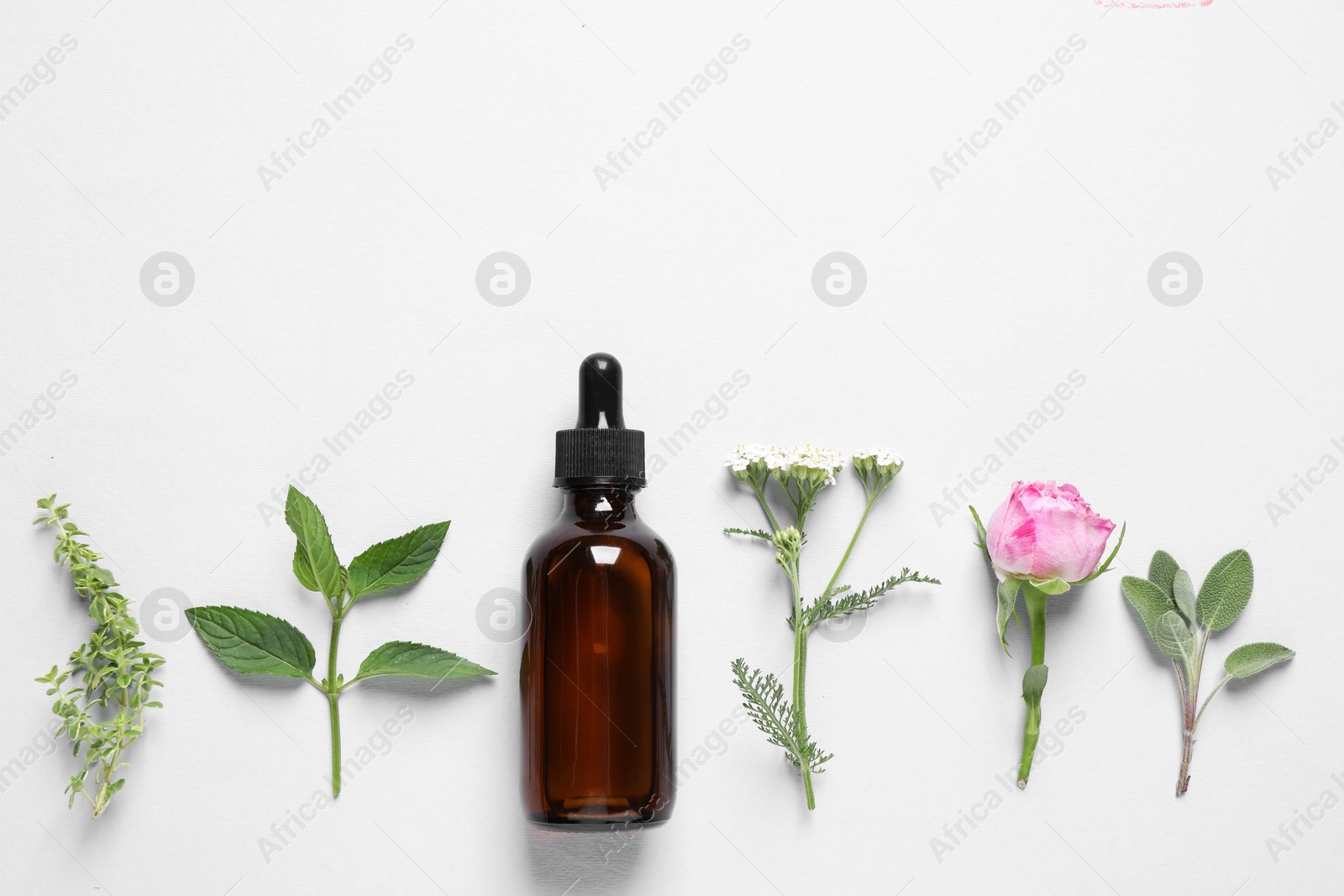 Photo of Bottle of essential oil, different herbs and flowers on white background, flat lay. Space for text